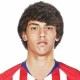 Joao Felix Trikot